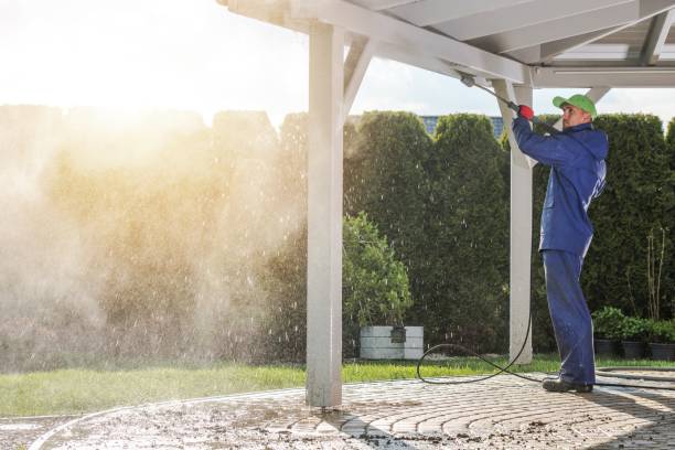 Best Dumpster Area Cleaning  in Williamstown, WV