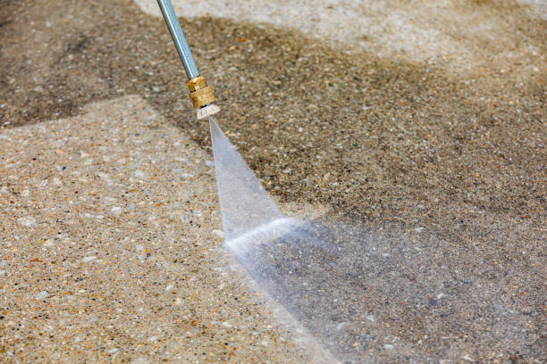 Best Sidewalk and Walkway Cleaning  in Williamstown, WV