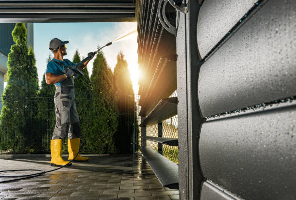 Best Building Exterior Washing  in Williamstown, WV